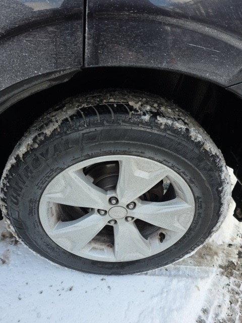 Thumbnail: 2016 Subaru Forester - 10