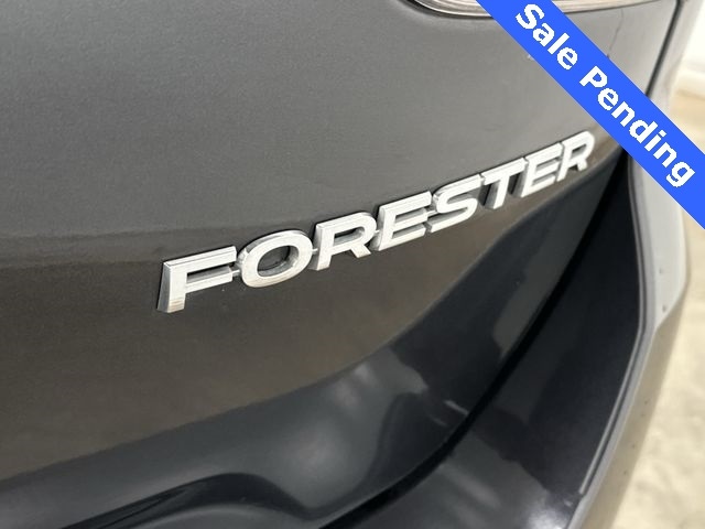Thumbnail: 2019 Subaru Forester - 27