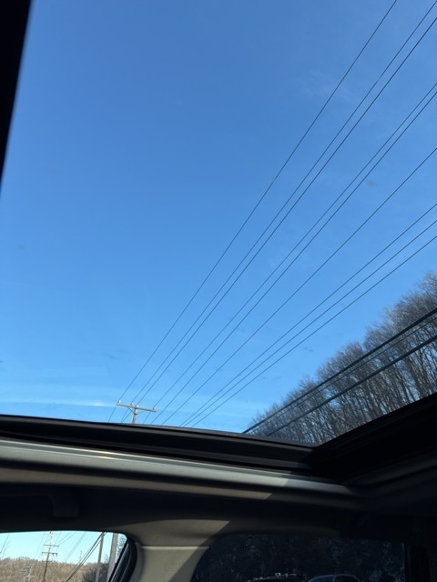 Thumbnail: 2020 Subaru Forester - 8