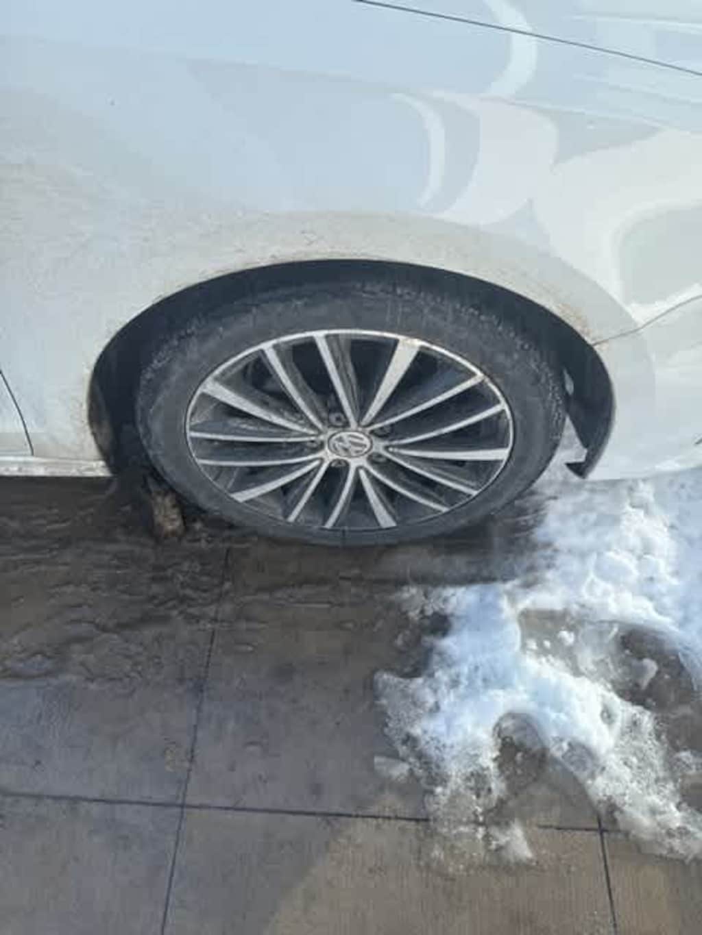 Used 2016 Volkswagen Jetta 1.8T Sport Sedan