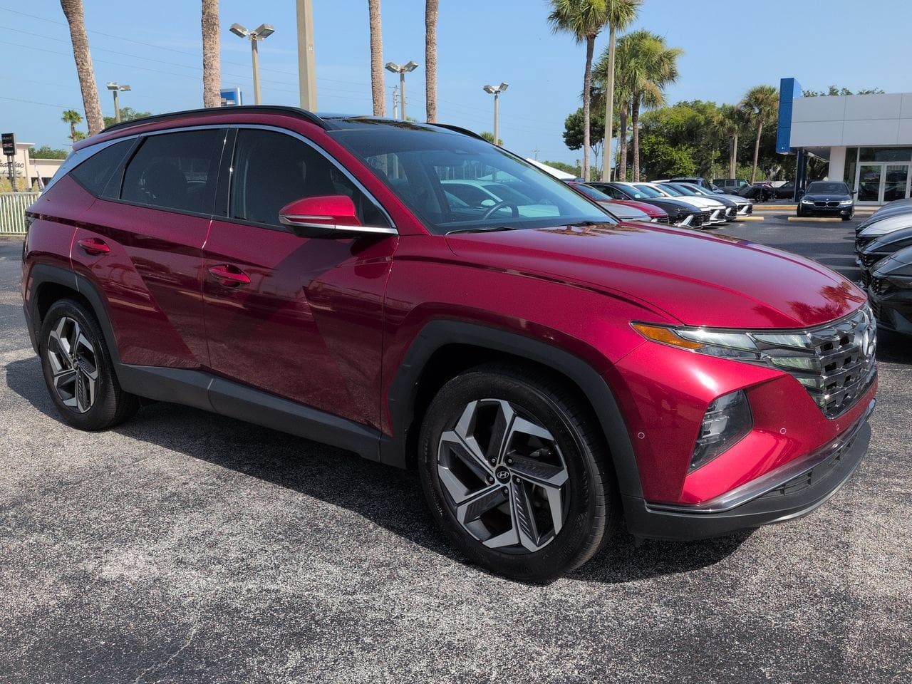 2024 Hyundai Tucson Limited - Photo 2