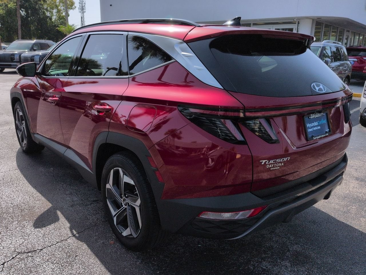 2024 Hyundai Tucson Limited - Photo 6