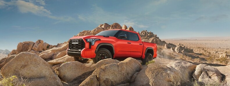 tundra