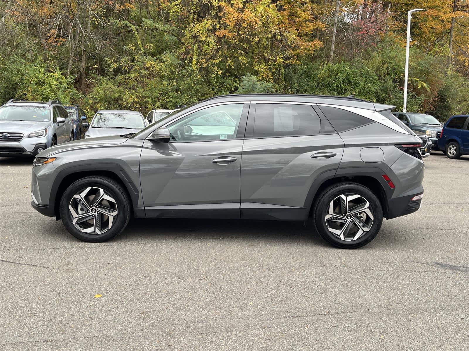 2024 Hyundai Tucson Limited photo 2