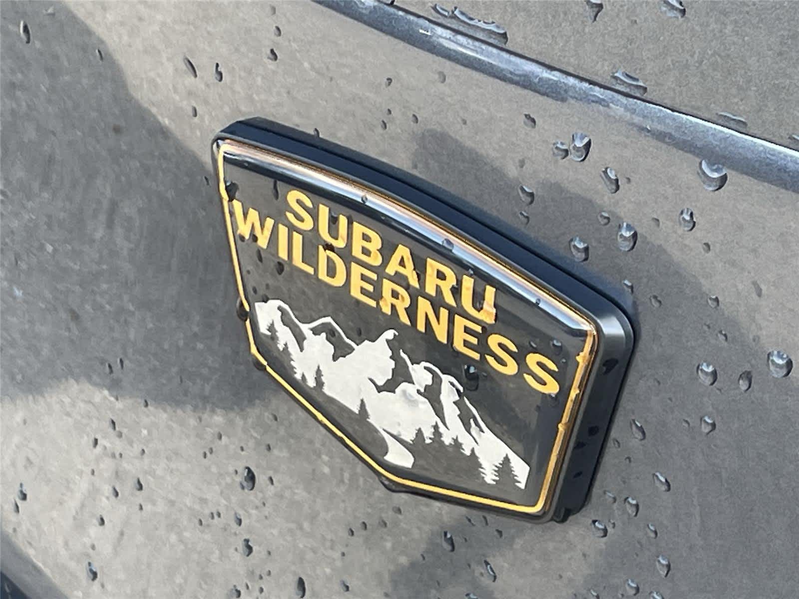 Thumbnail: 2026 Subaru Forester - 10