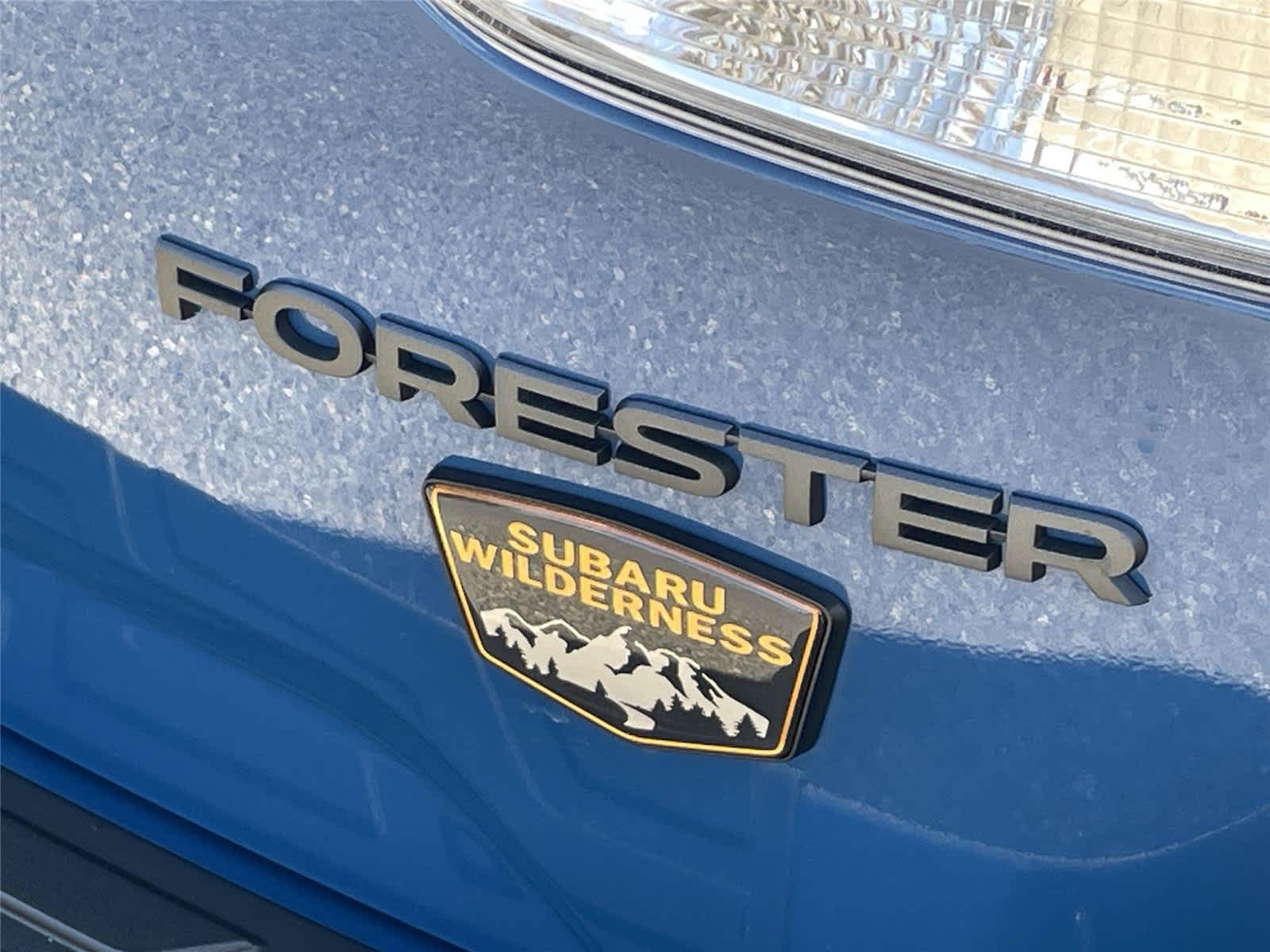 Thumbnail: 2022 Subaru Forester - 10