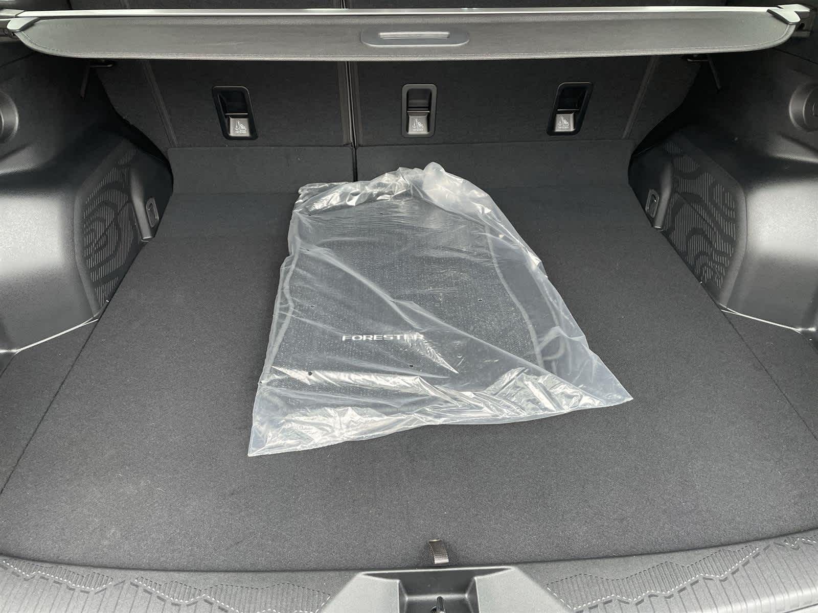 Thumbnail: 2025 Subaru Forester - 16