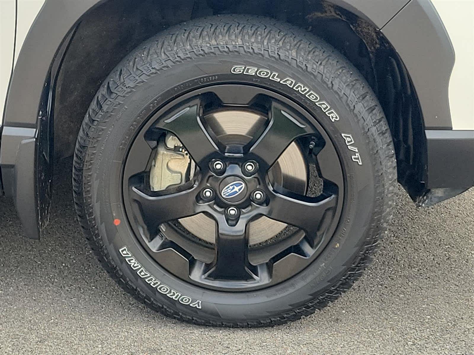 Thumbnail: 2022 Subaru Forester - 19