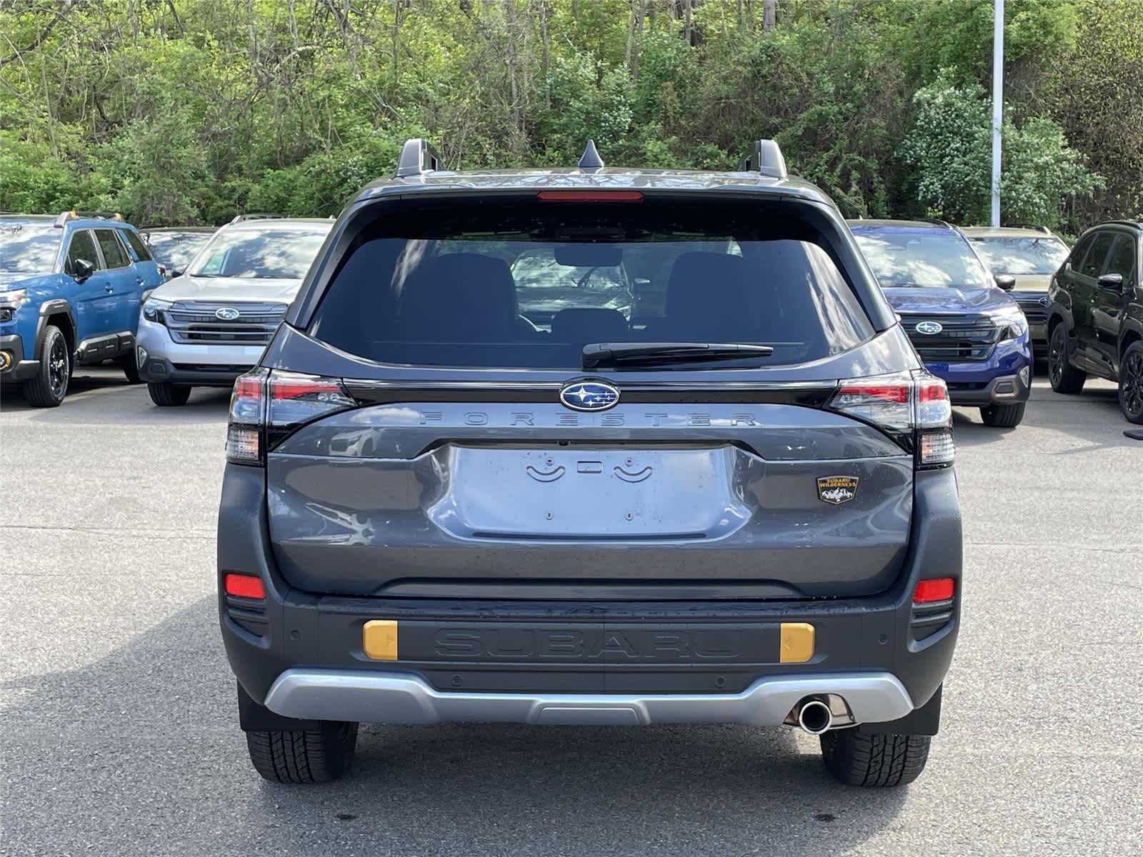 Thumbnail: 2026 Subaru Forester - 4