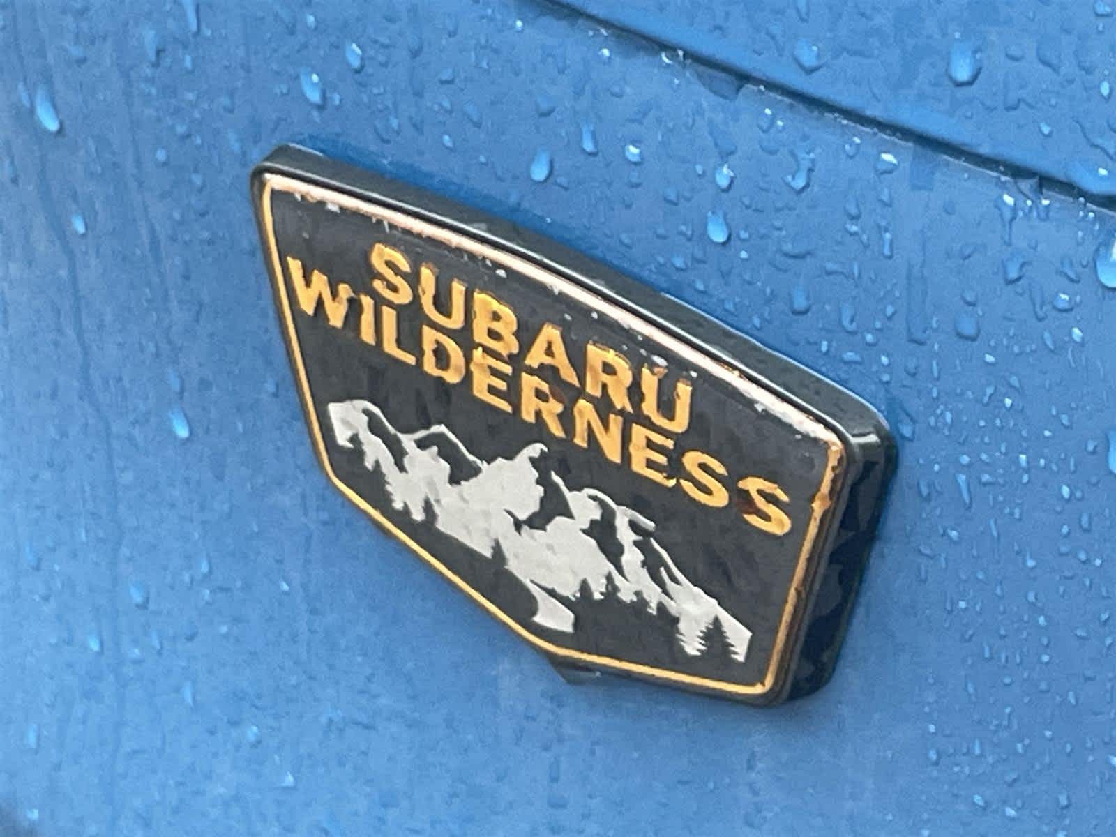 Thumbnail: 2026 Subaru Forester - 10