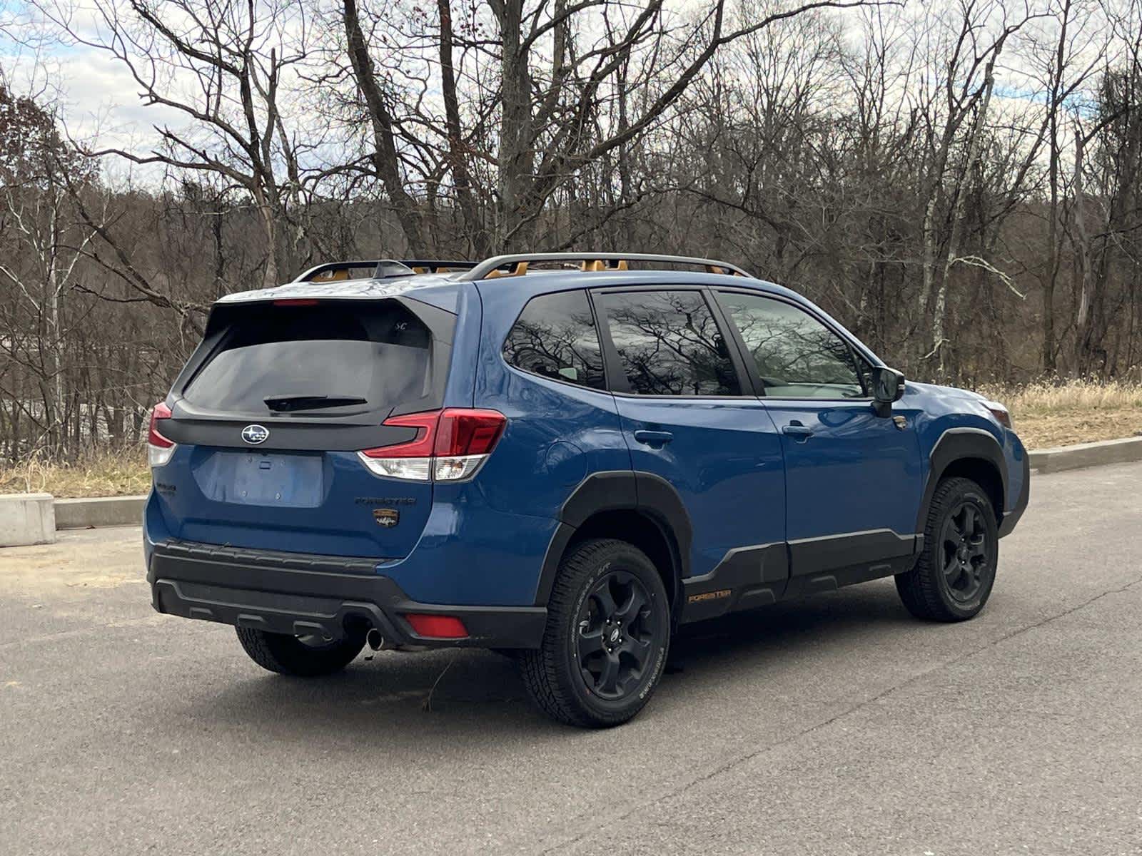 Thumbnail: 2025 Subaru Forester - 5