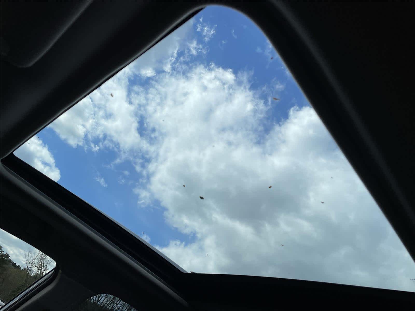 Thumbnail: 2023 Subaru Forester - 14