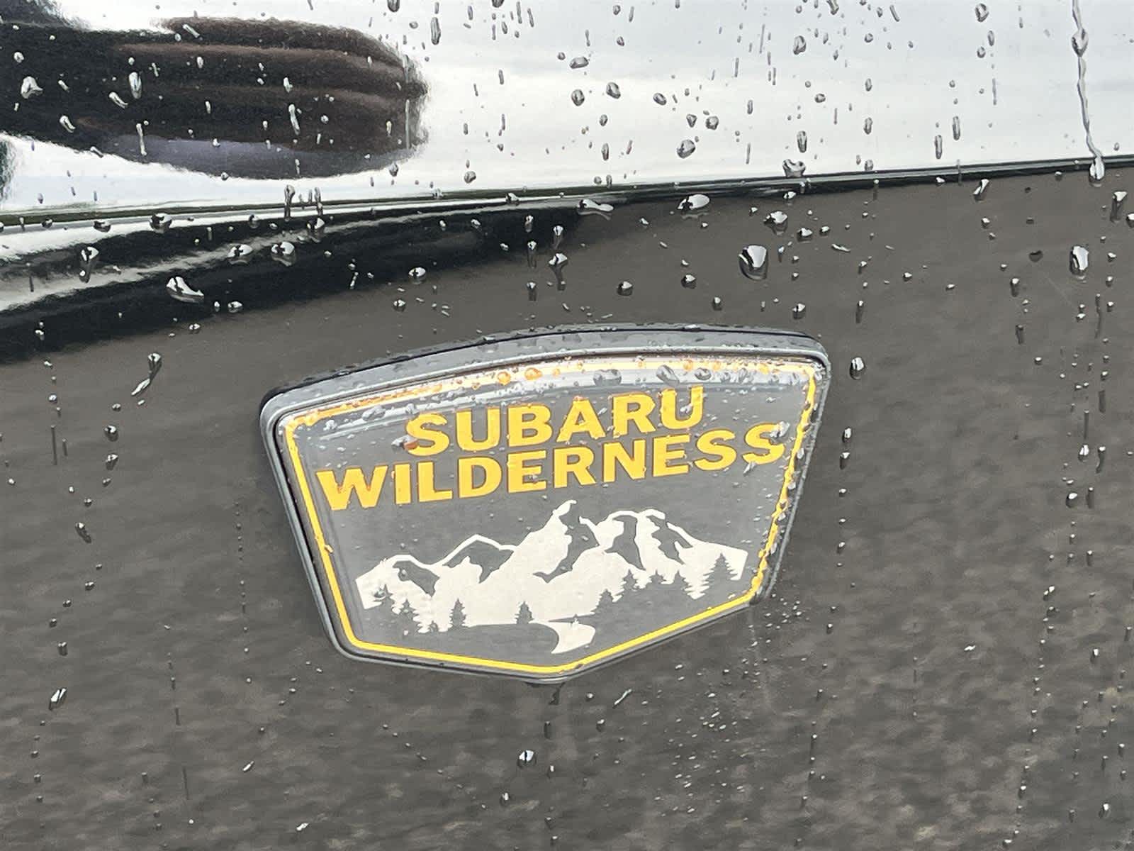 Thumbnail: 2022 Subaru Outback - 10