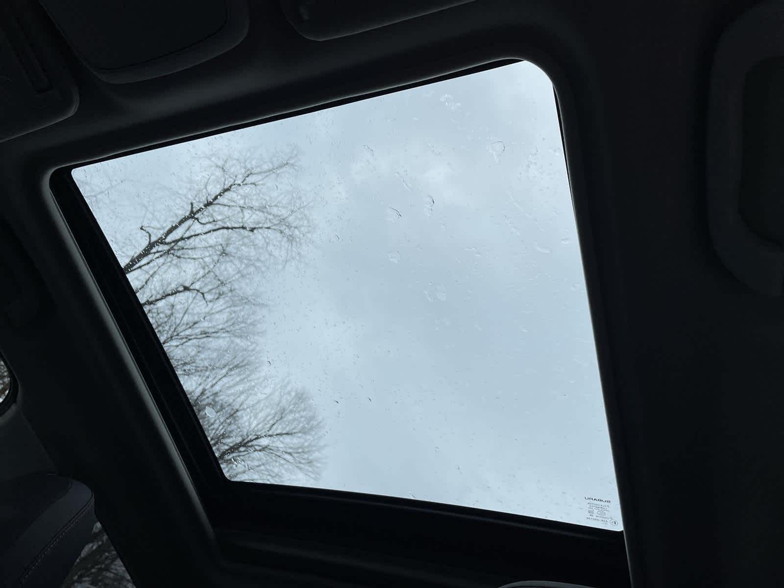 Thumbnail: 2024 Subaru Forester - 14