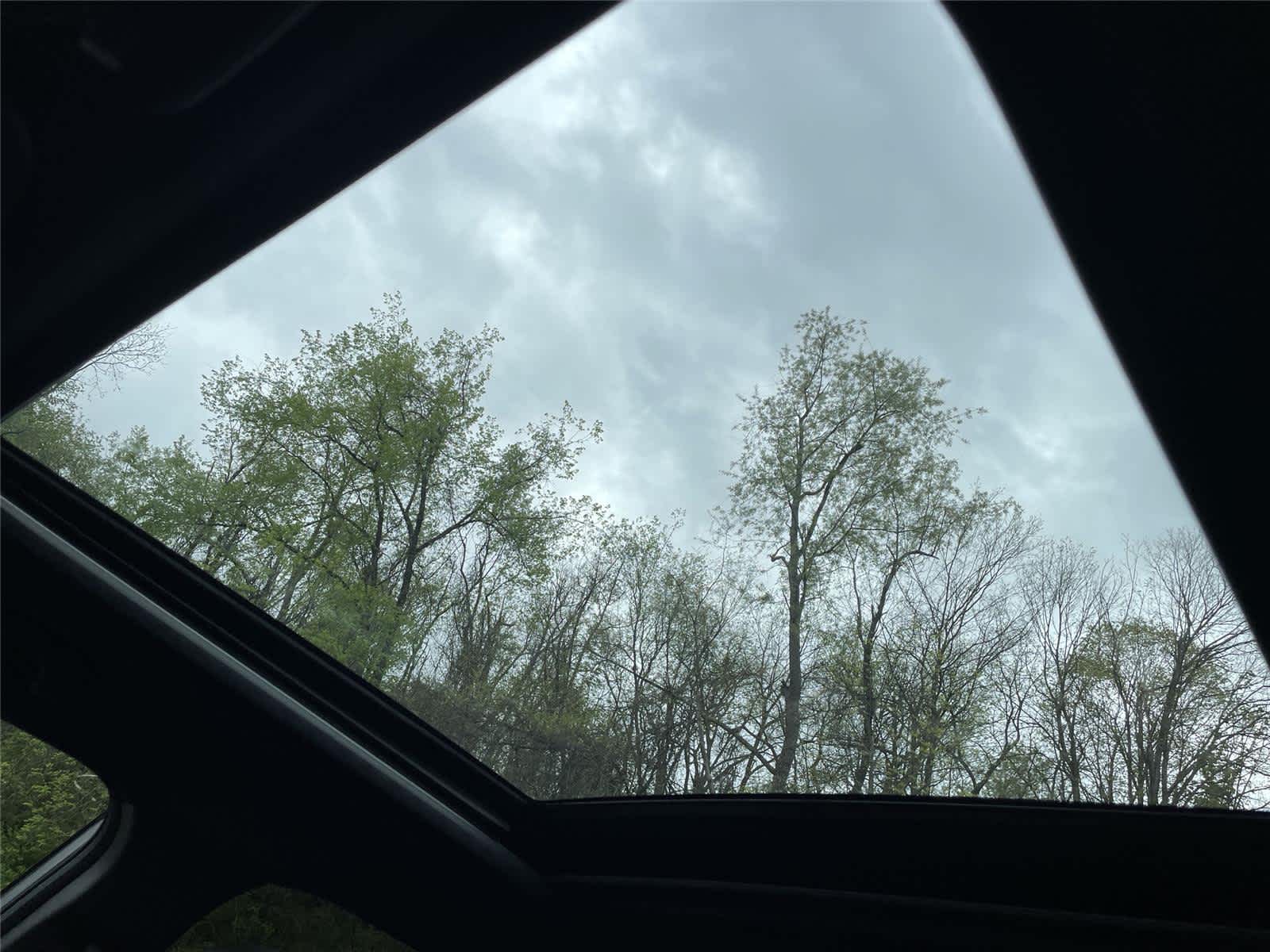 Thumbnail: 2026 Subaru Forester - 14
