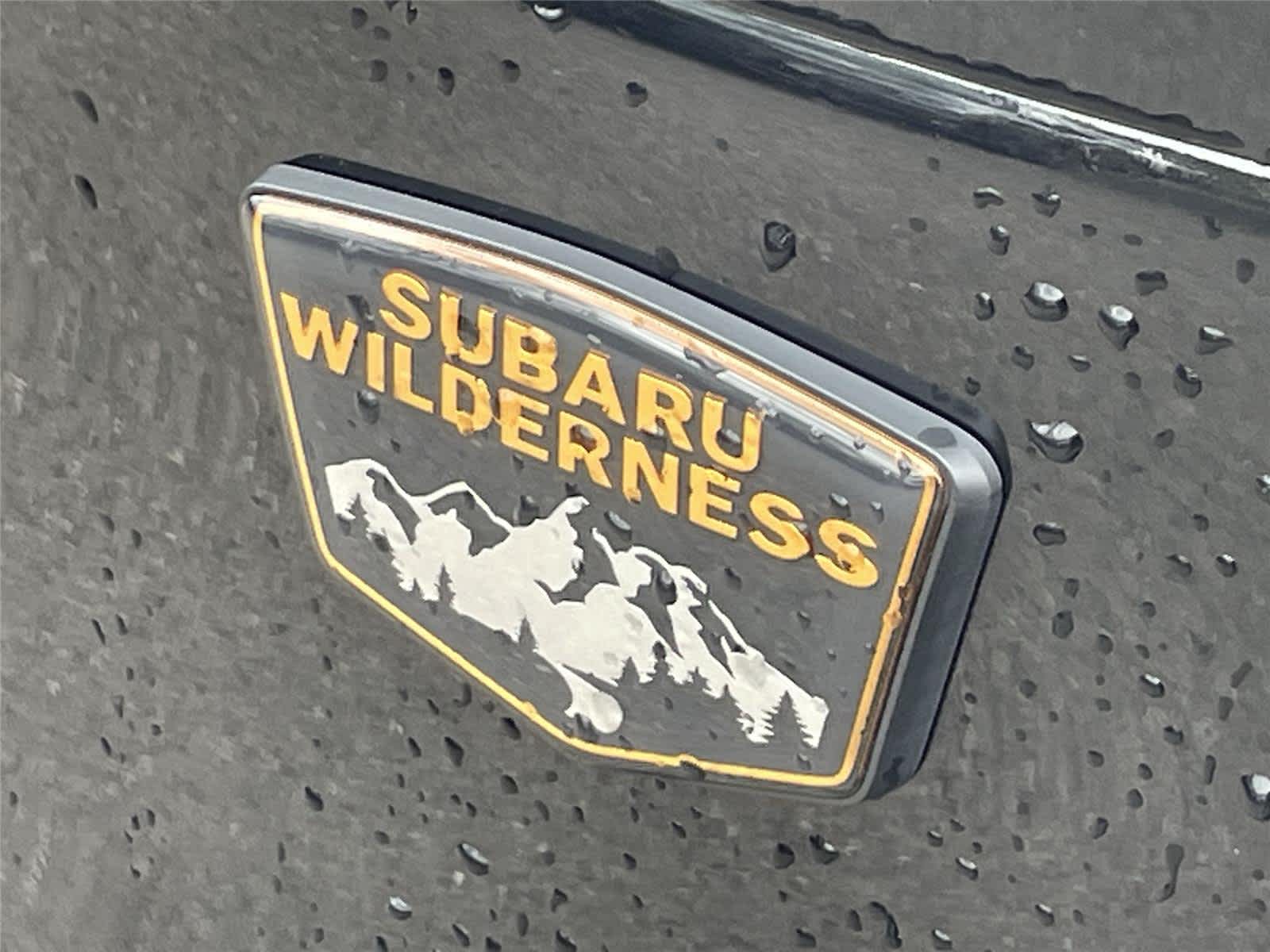 Thumbnail: 2026 Subaru Forester - 10