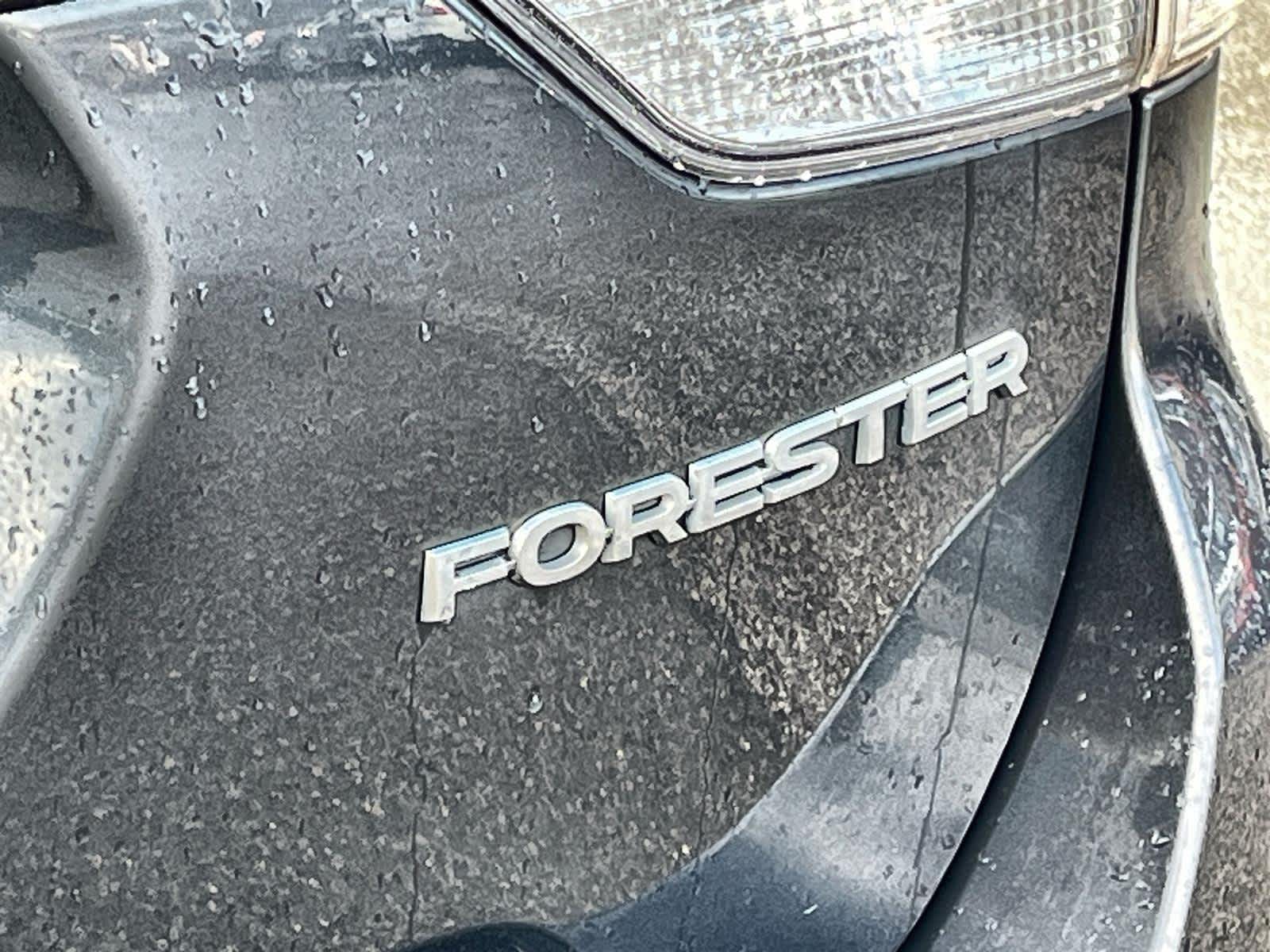 Thumbnail: 2020 Subaru Forester - 10