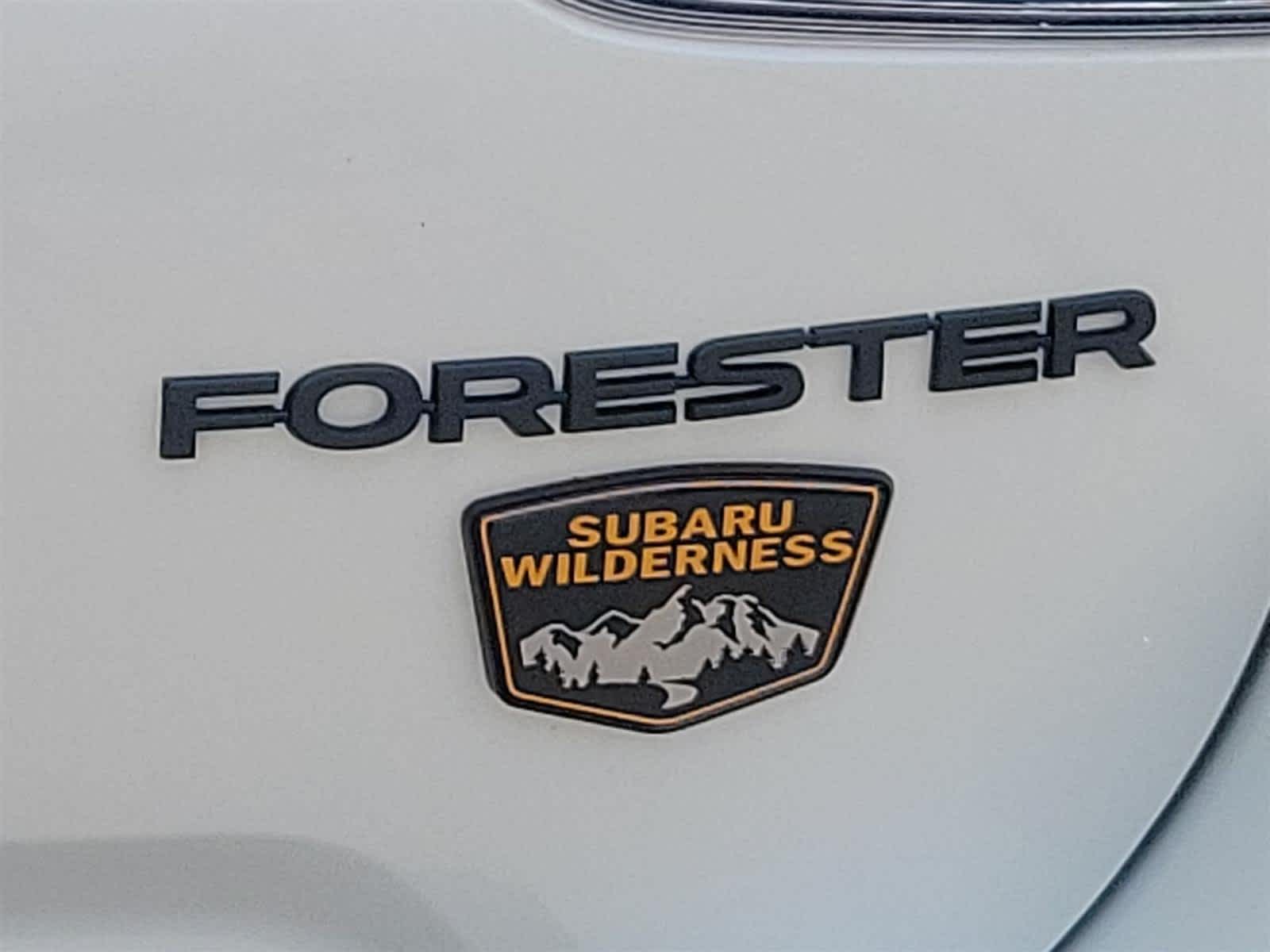 Thumbnail: 2022 Subaru Forester - 16