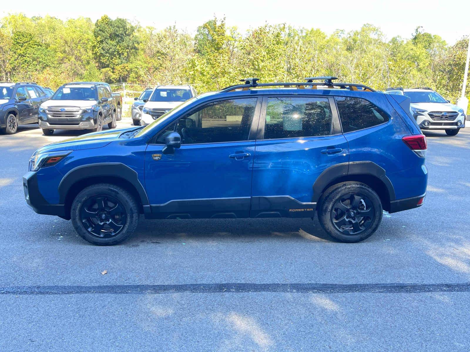 Thumbnail: 2023 Subaru Forester - 2