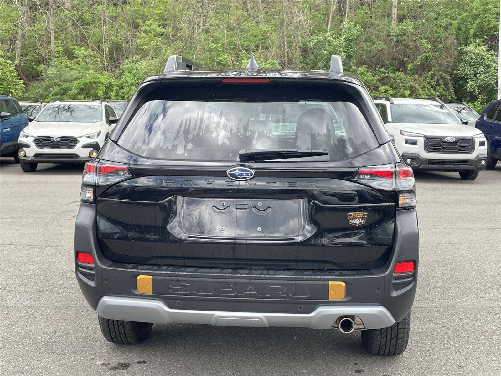 Thumbnail: 2026 Subaru Forester - 4
