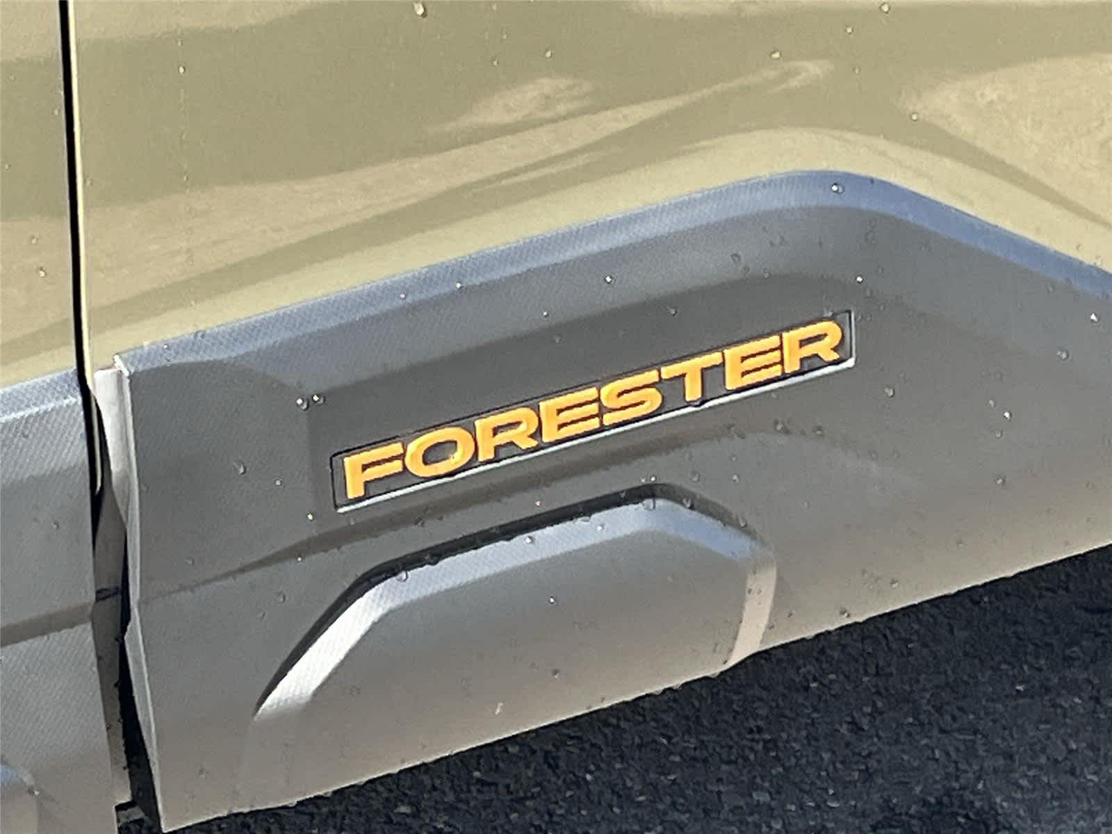 Thumbnail: 2026 Subaru Forester - 10