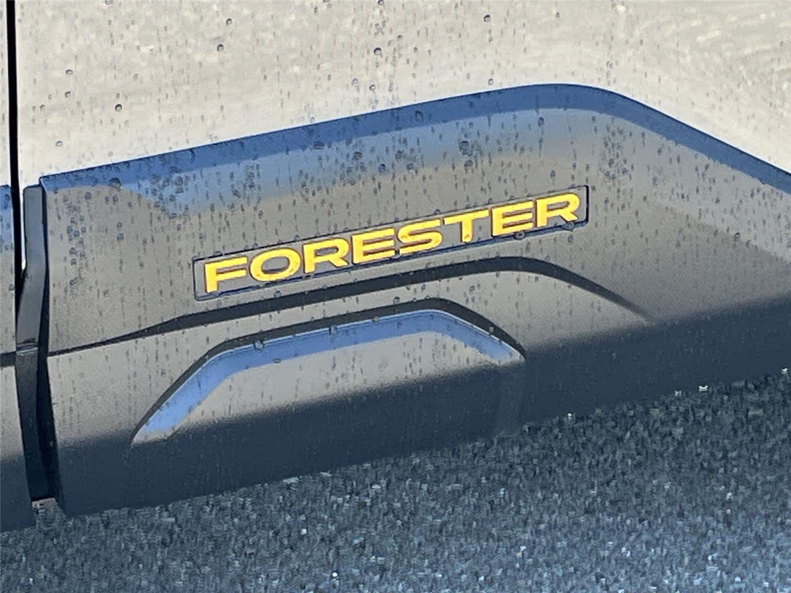 Thumbnail: 2026 Subaru Forester - 10