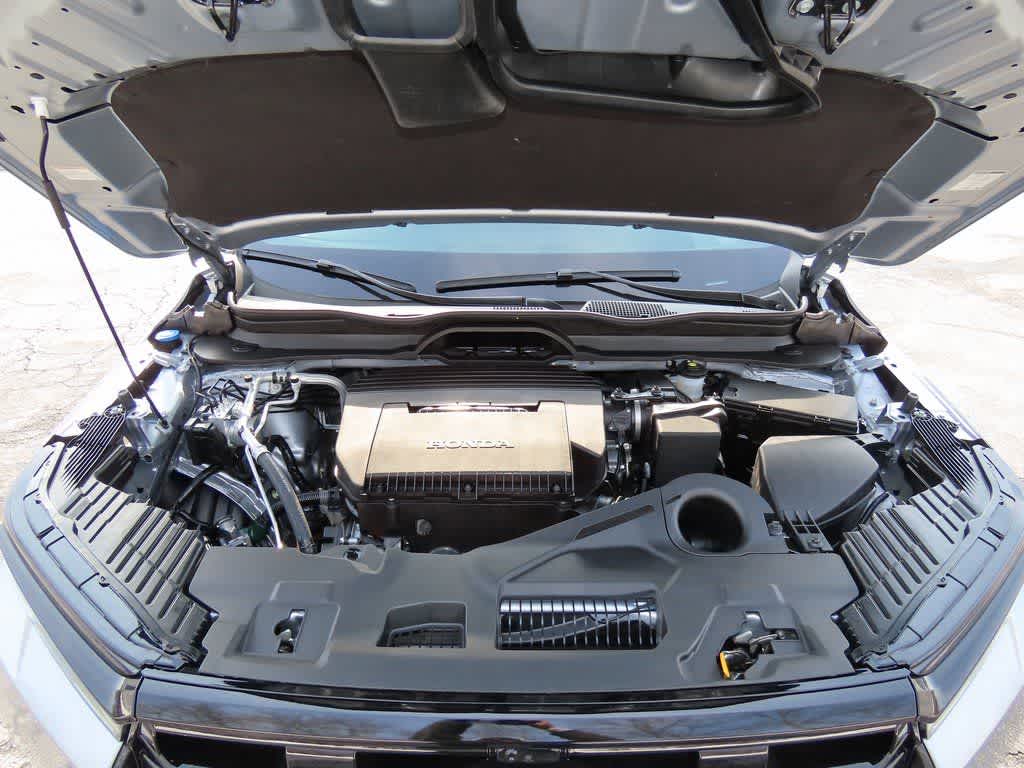 Thumbnail: 2026 Honda Pilot - 11