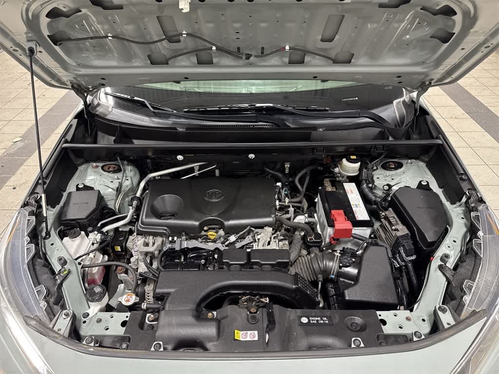 Thumbnail: 2019 Toyota RAV4 - 12