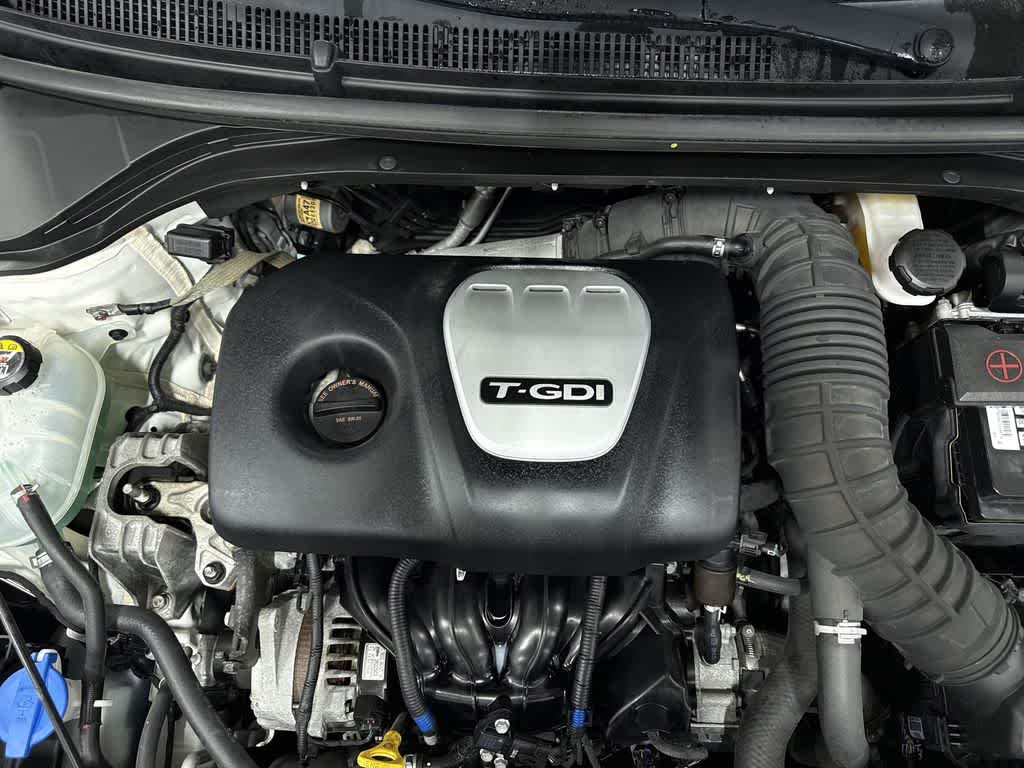 Thumbnail: 2019 Hyundai Elantra - 12