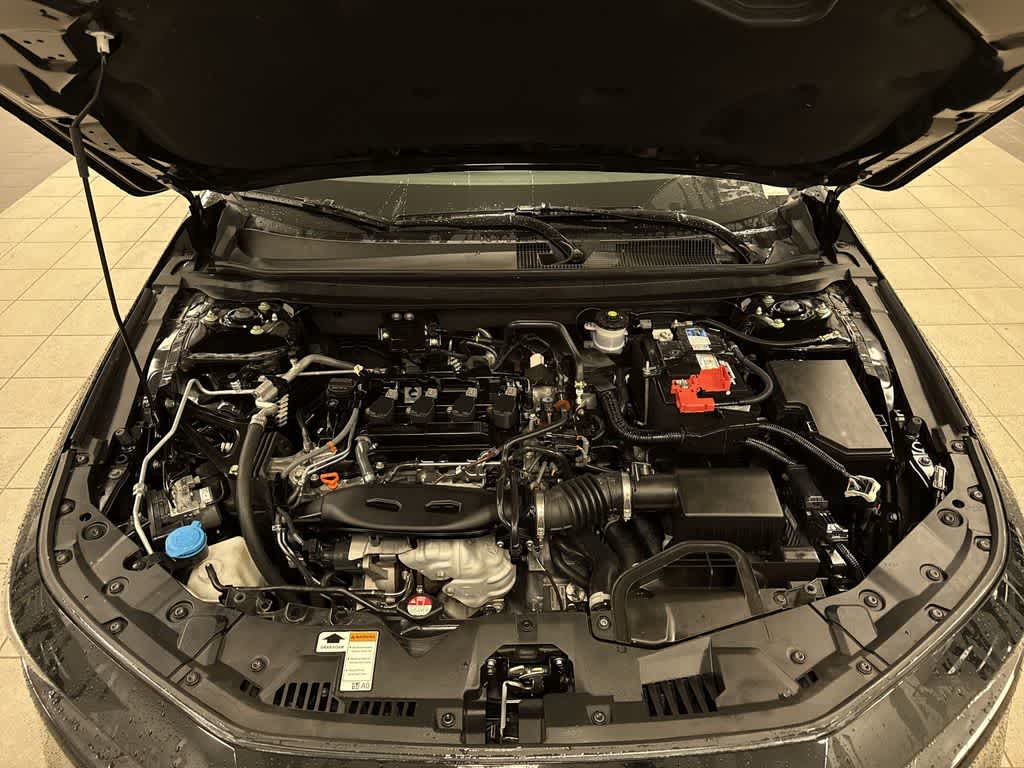 Thumbnail: 2024 Honda Accord - 12