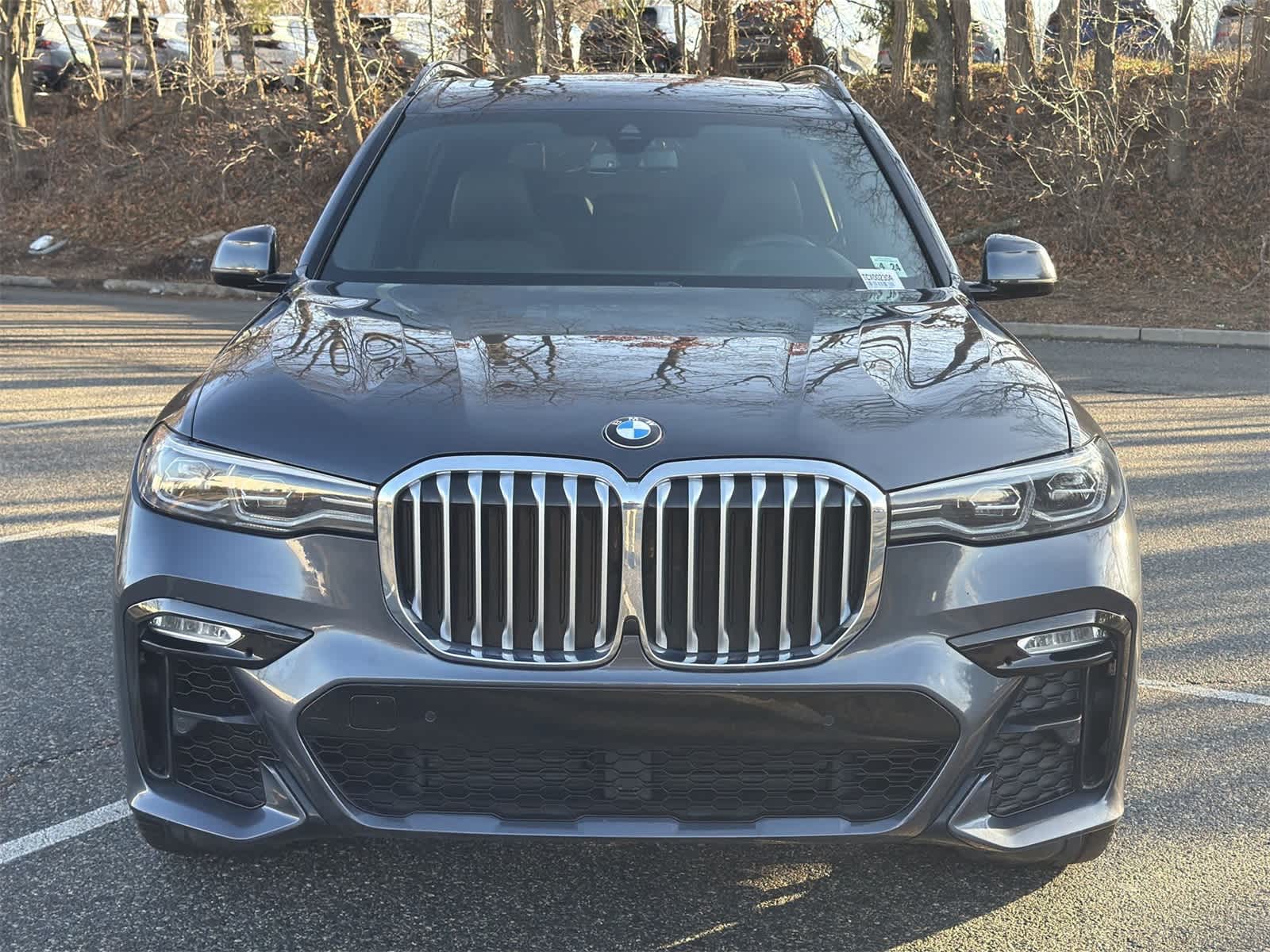 Thumbnail: 2019 BMW X7 - 14