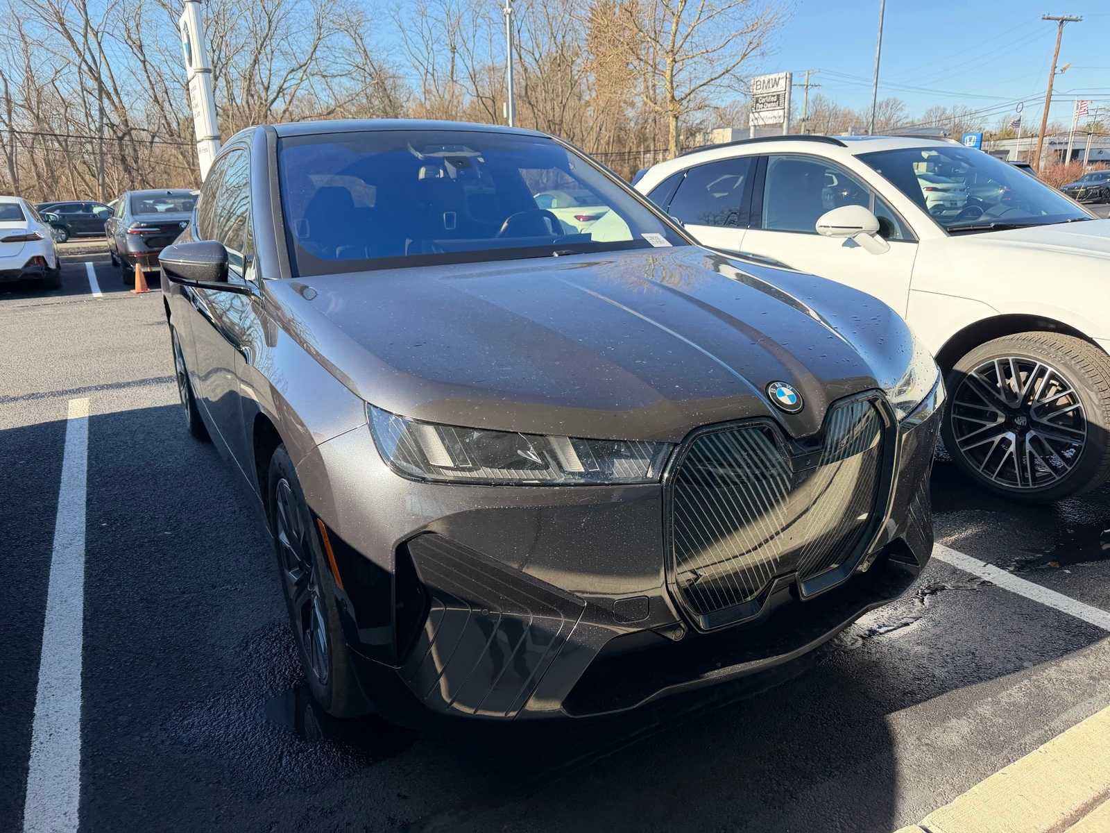 2026 BMW iX 60's photo