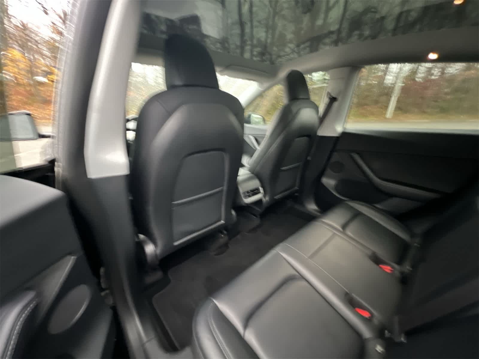 Thumbnail: 2021 Tesla Model Y - 19