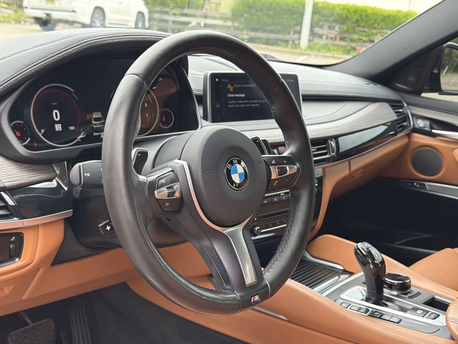 Thumbnail: 2018 BMW X6 - 23