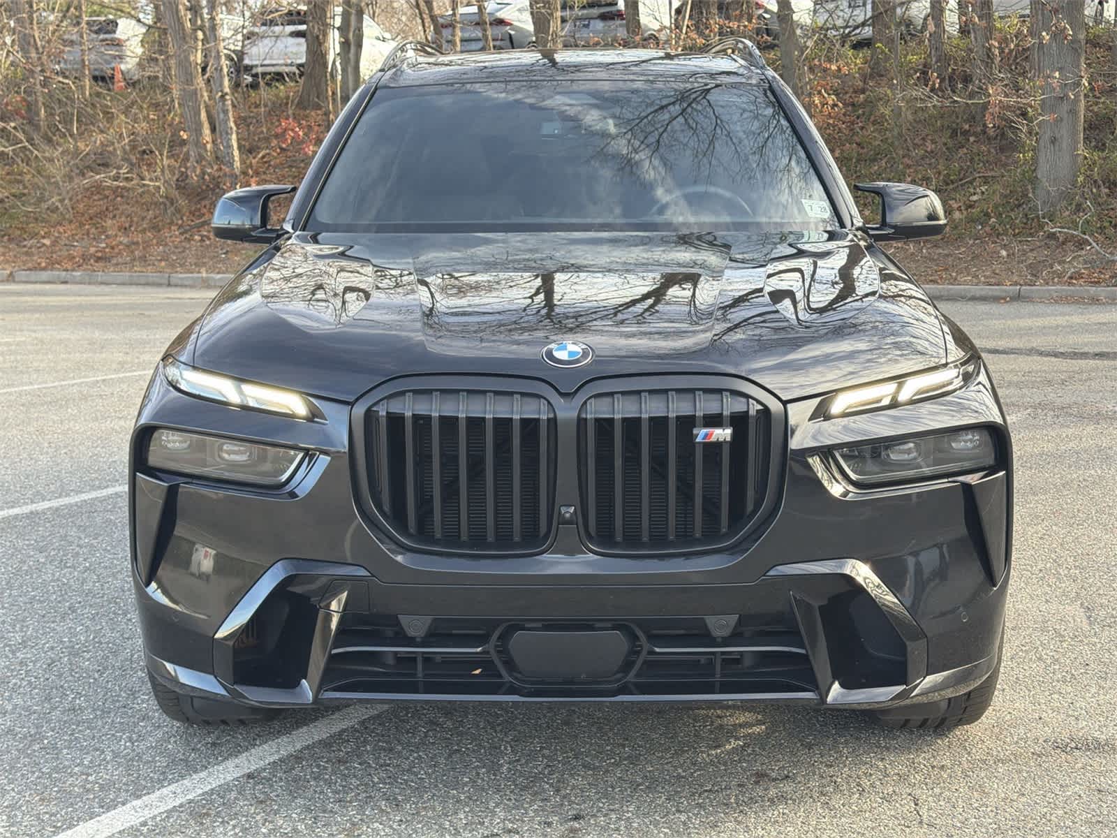 Thumbnail: 2024 BMW X7 - 14