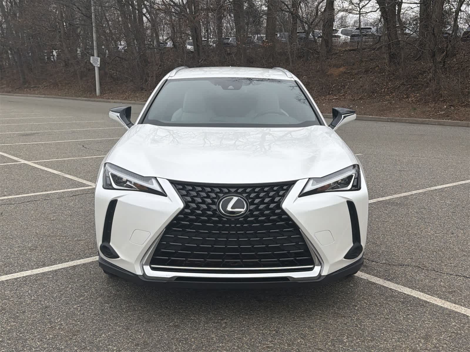 Thumbnail: 2021 Lexus UX - 14