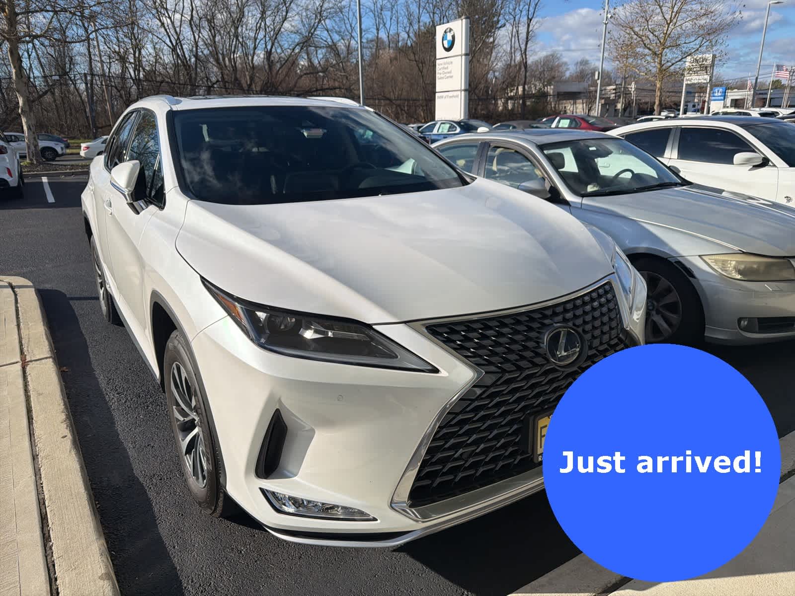 2022 Lexus RX Hybrid 450h's photo