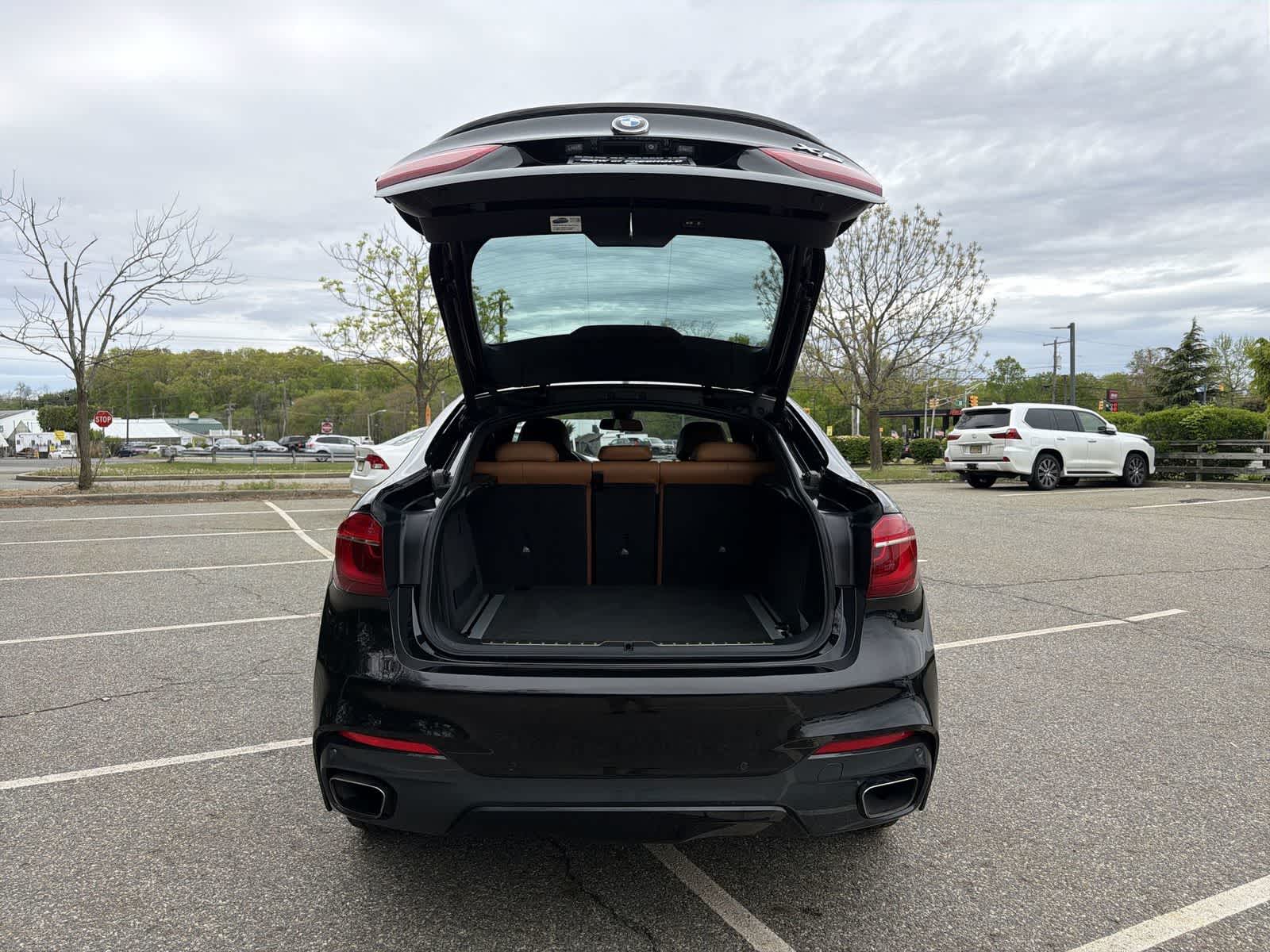 Thumbnail: 2018 BMW X6 - 27