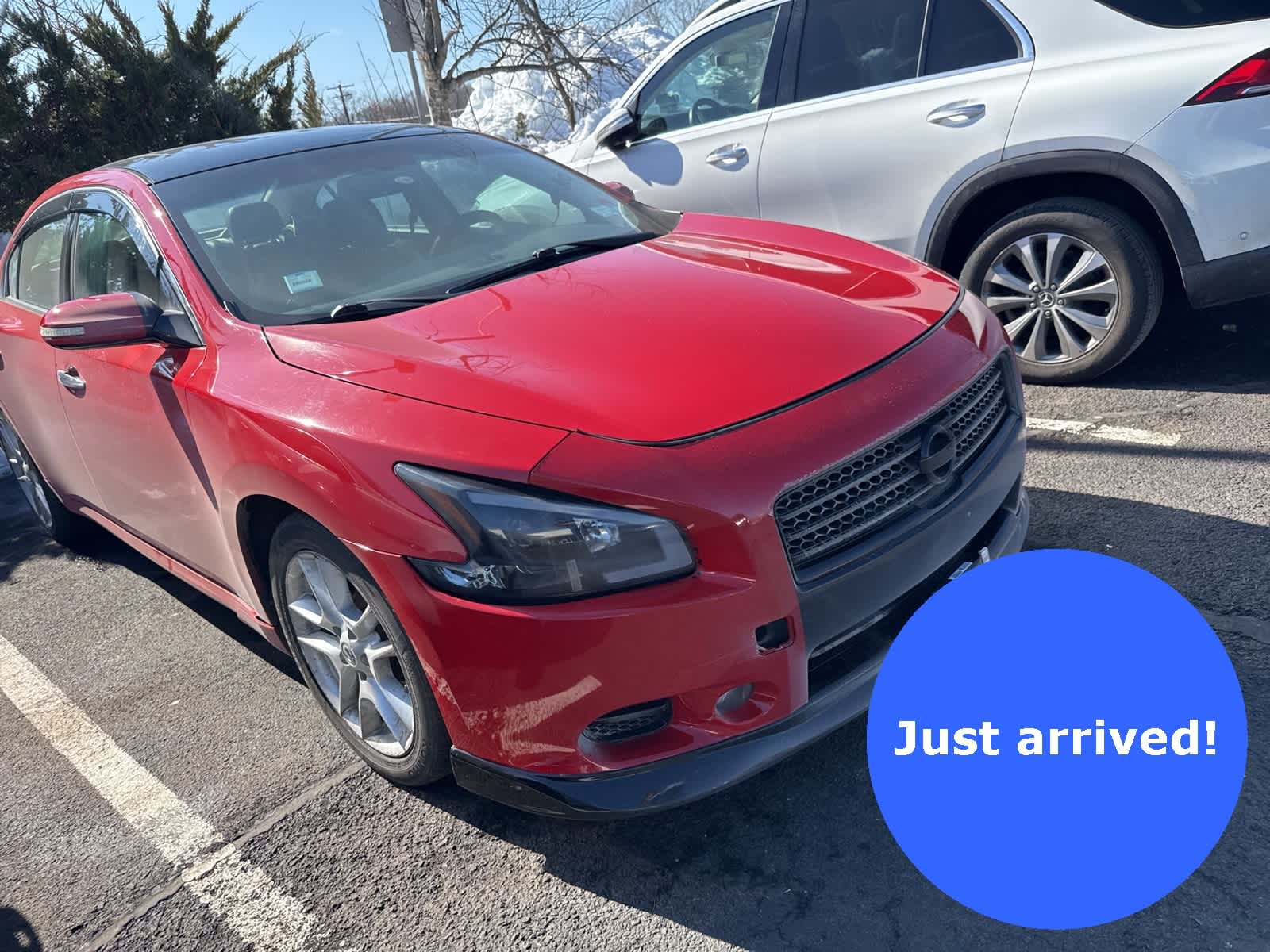 2009 Nissan Maxima 3.5 SV -
                  Freehold, NJ