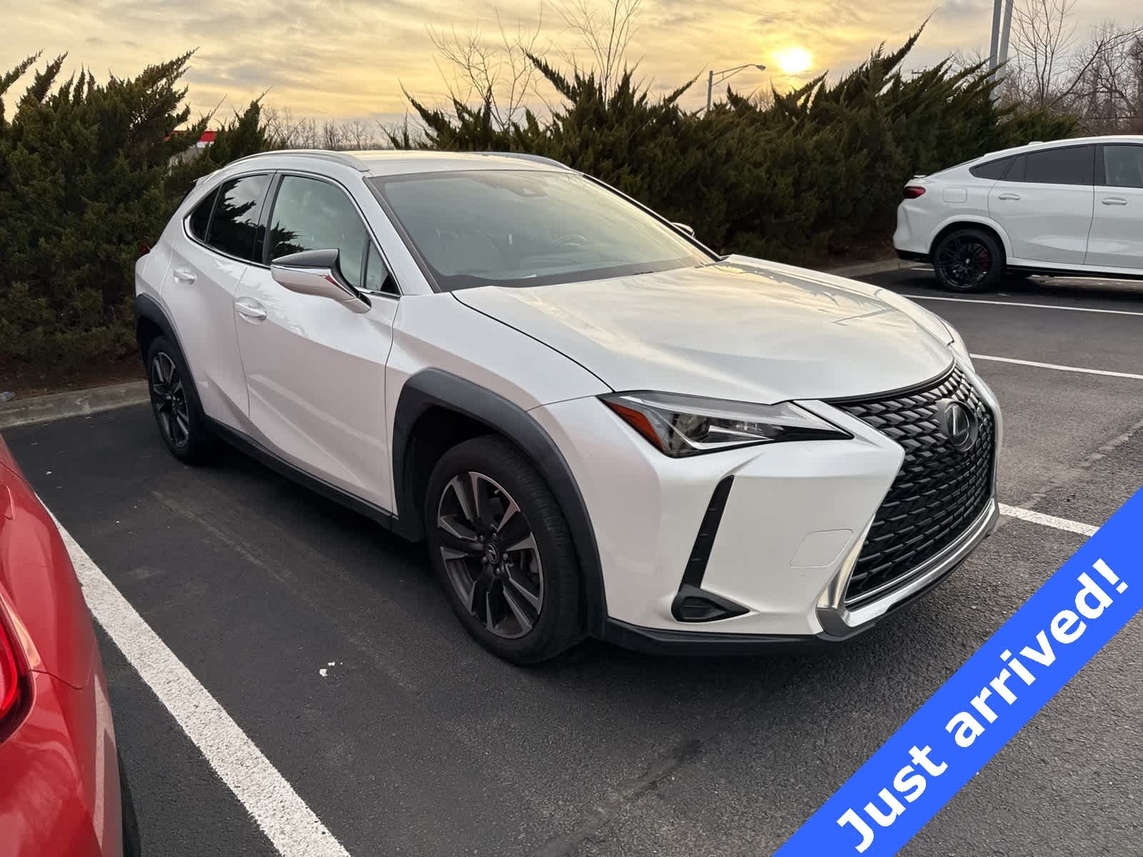 2021 Lexus UX 200 -
                  Freehold, NJ