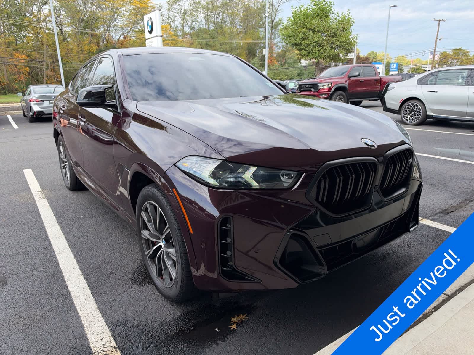 2024 BMW X6