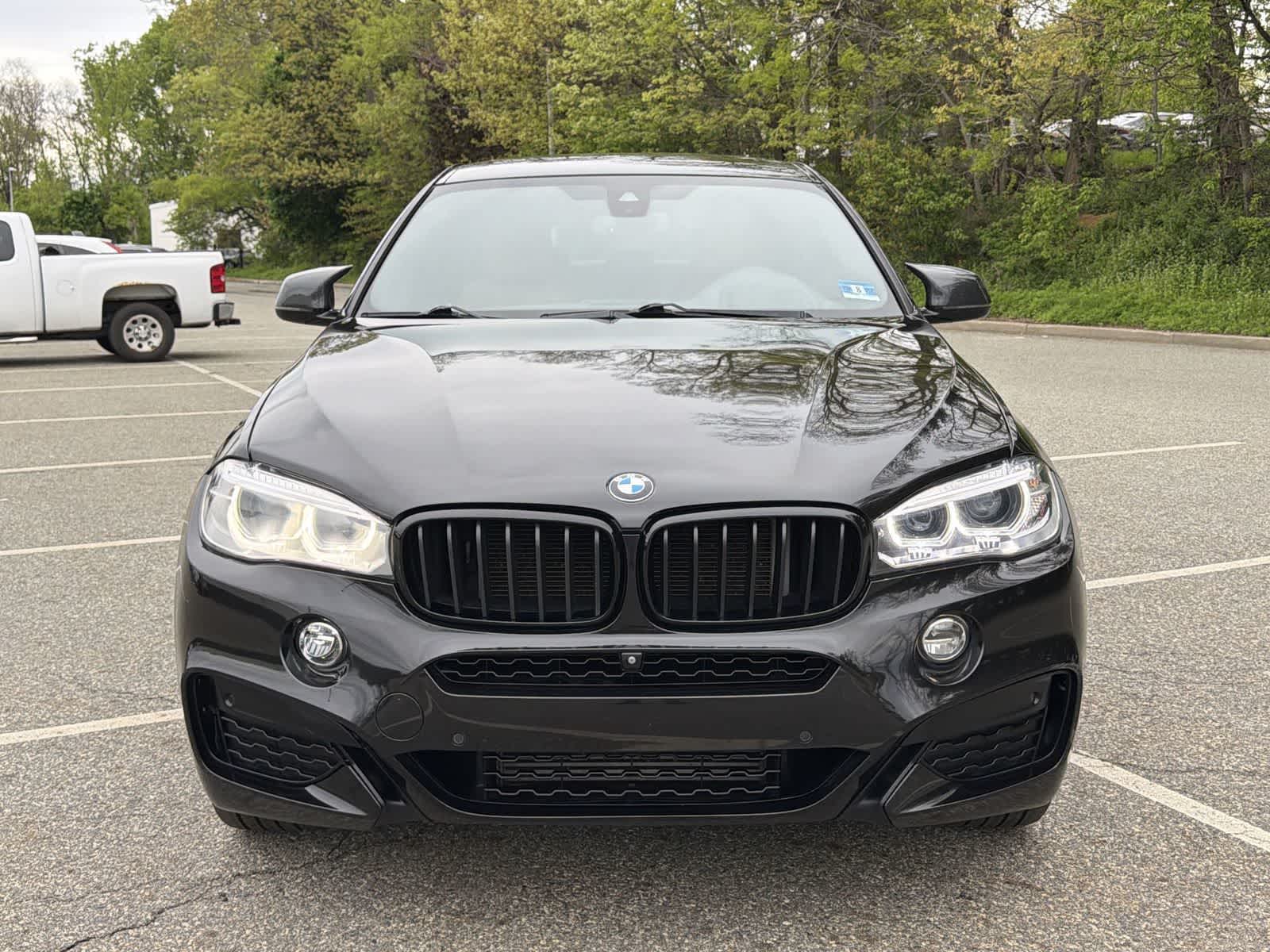 Thumbnail: 2018 BMW X6 - 14