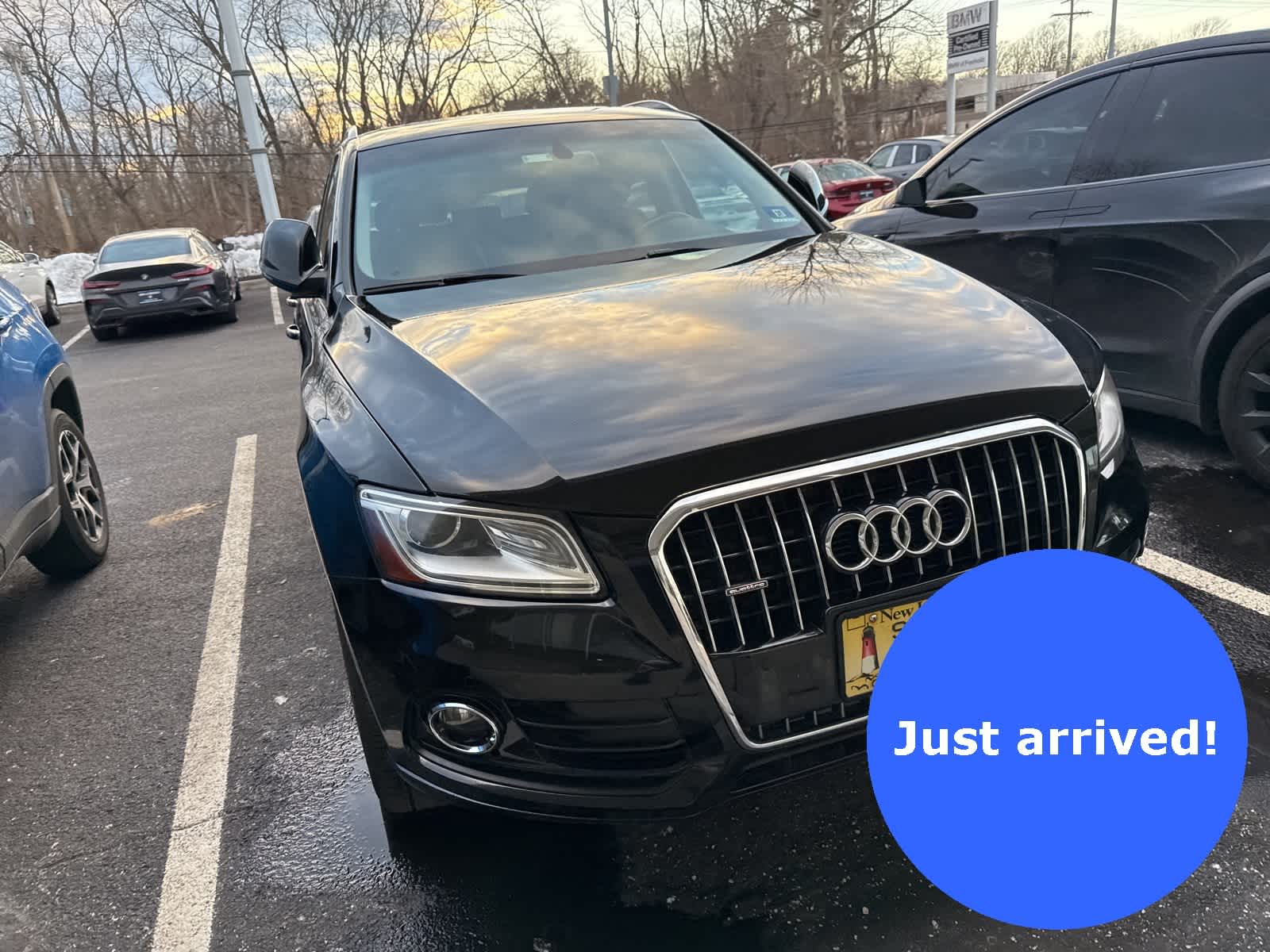 2013 Audi Q5 Premium -
                  Freehold, NJ