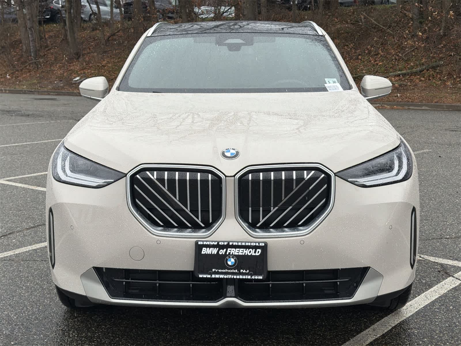 Thumbnail: 2025 BMW X3 - 14