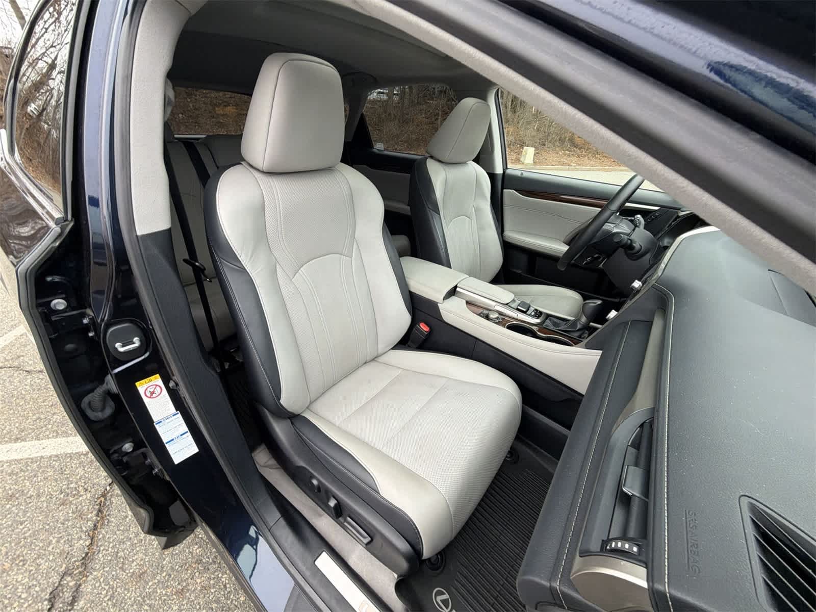 Thumbnail: 2019 Lexus RX - 22