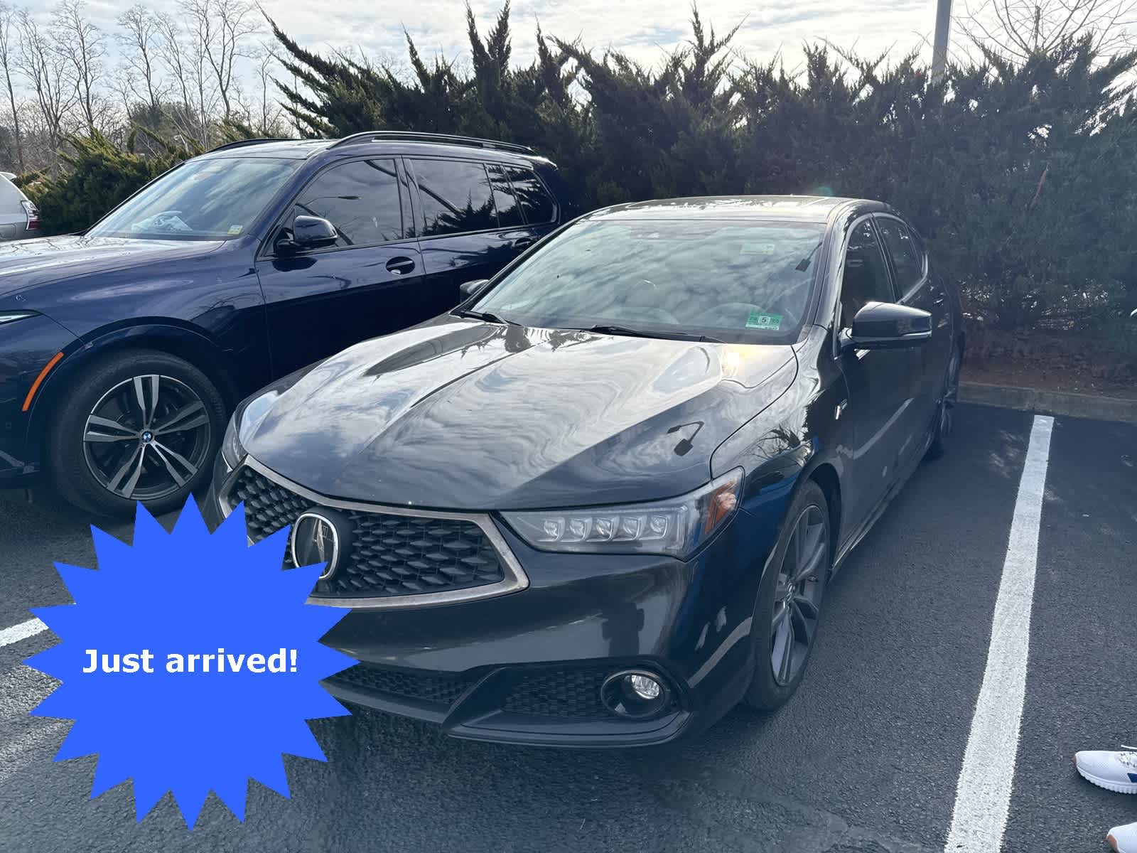 2019 Acura TLX A-Spec -
                  Freehold, NJ