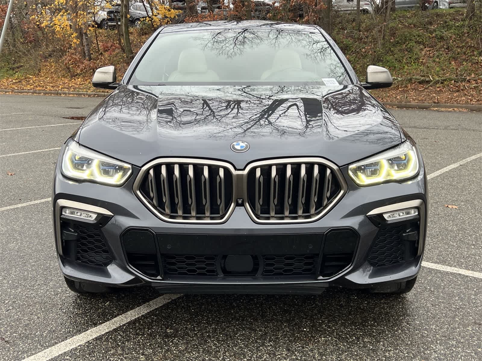 Thumbnail: 2020 BMW X6 - 14