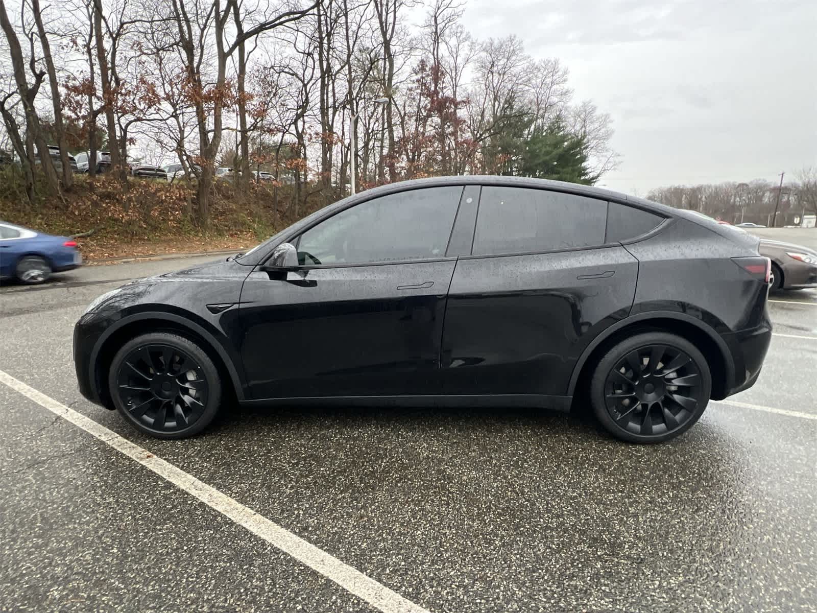 Thumbnail: 2021 Tesla Model Y - 11