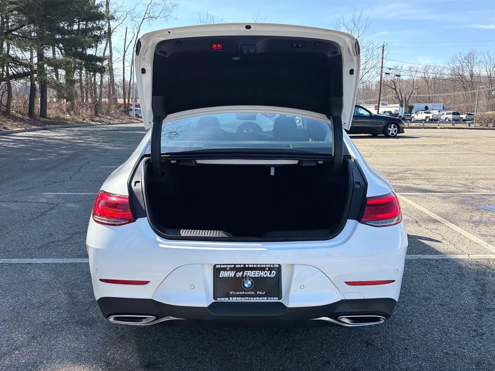 Thumbnail: 2019 Mercedes-Benz CLS - 27