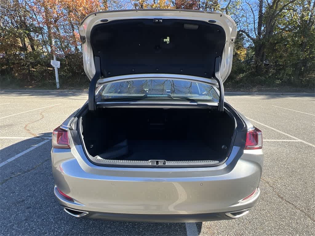 Thumbnail: 2019 Lexus ES - 27